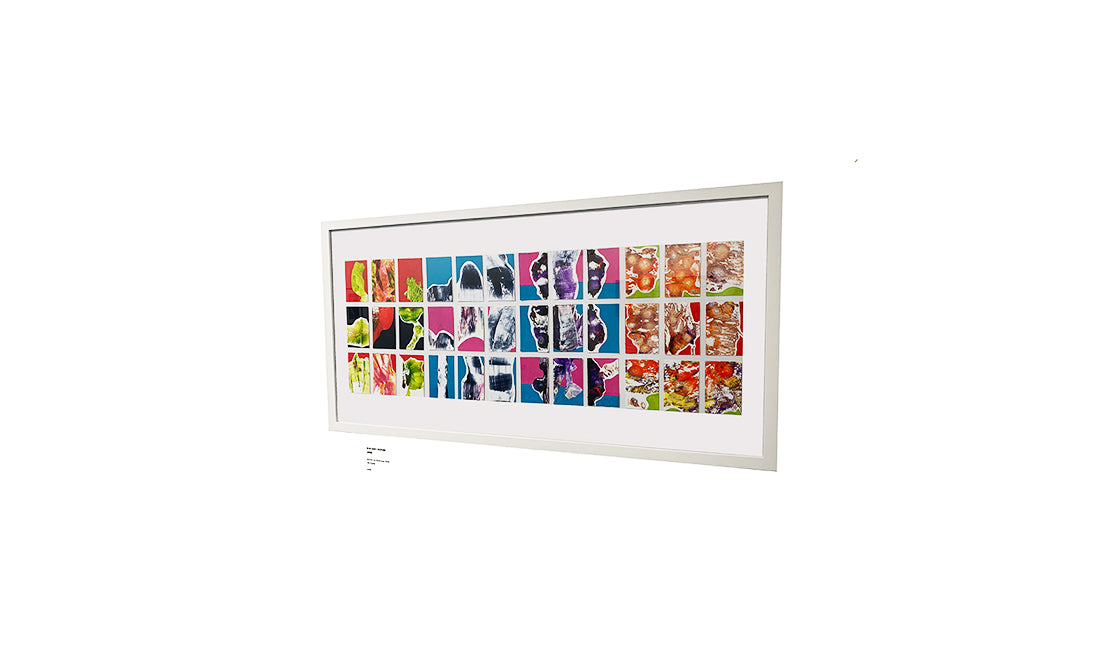 GM SPIERS | BIOLOGY SERIES 2023