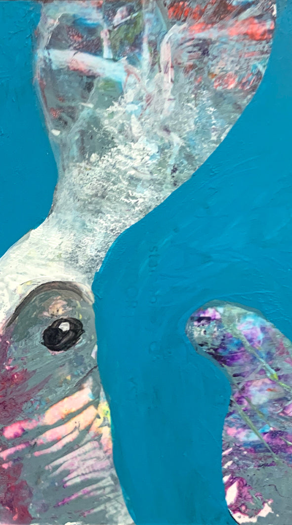 BIOLOGY SERIES No. 56/57 (DOUBLE), 2020 | GM SPIERS