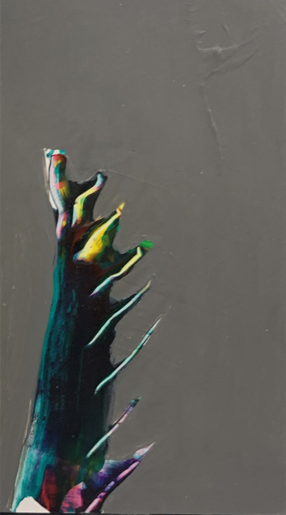 BIOLOGY SERIES No. 44/45 (DOUBLE), 2020 | GM SPIERS
