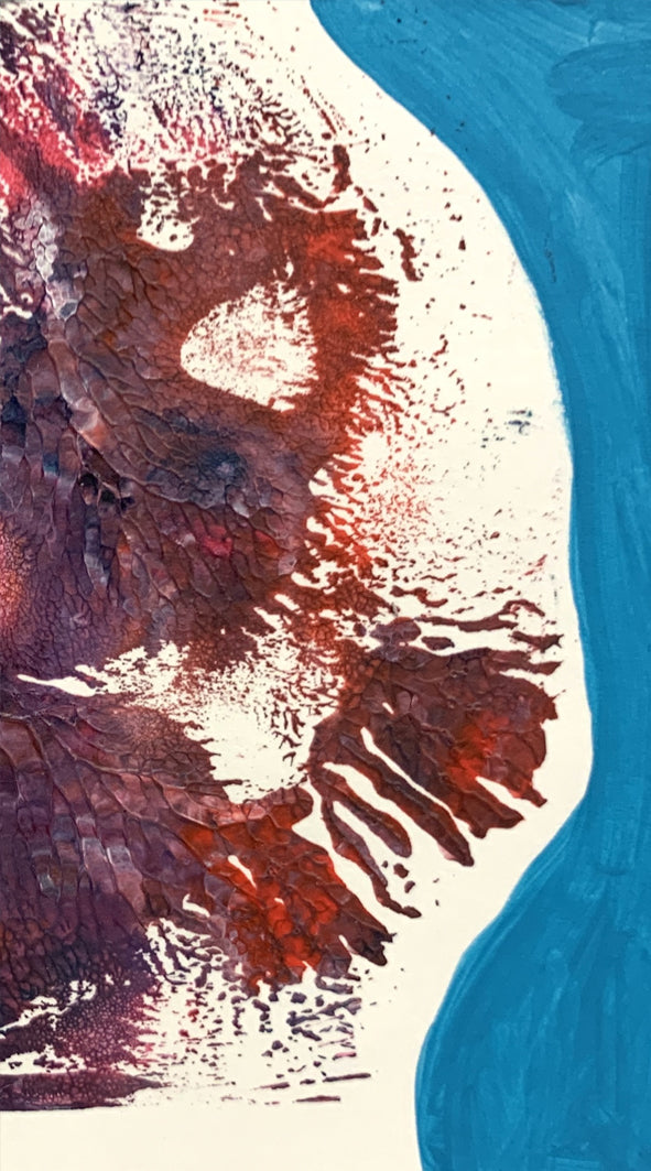 BIOLOGY SERIES No. 48/49 (DOUBLE), 2020 | GM SPIERS