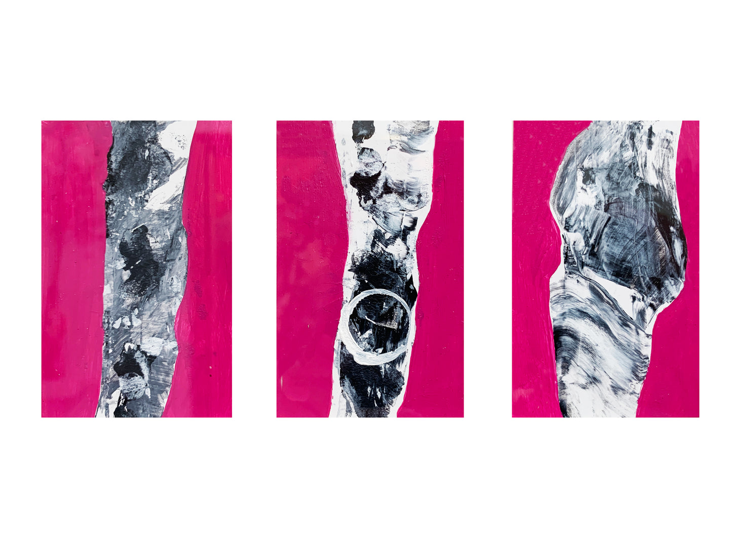 BIOLOGY SERIES Nos. 62 to 64, 2020 | GM SPIERS