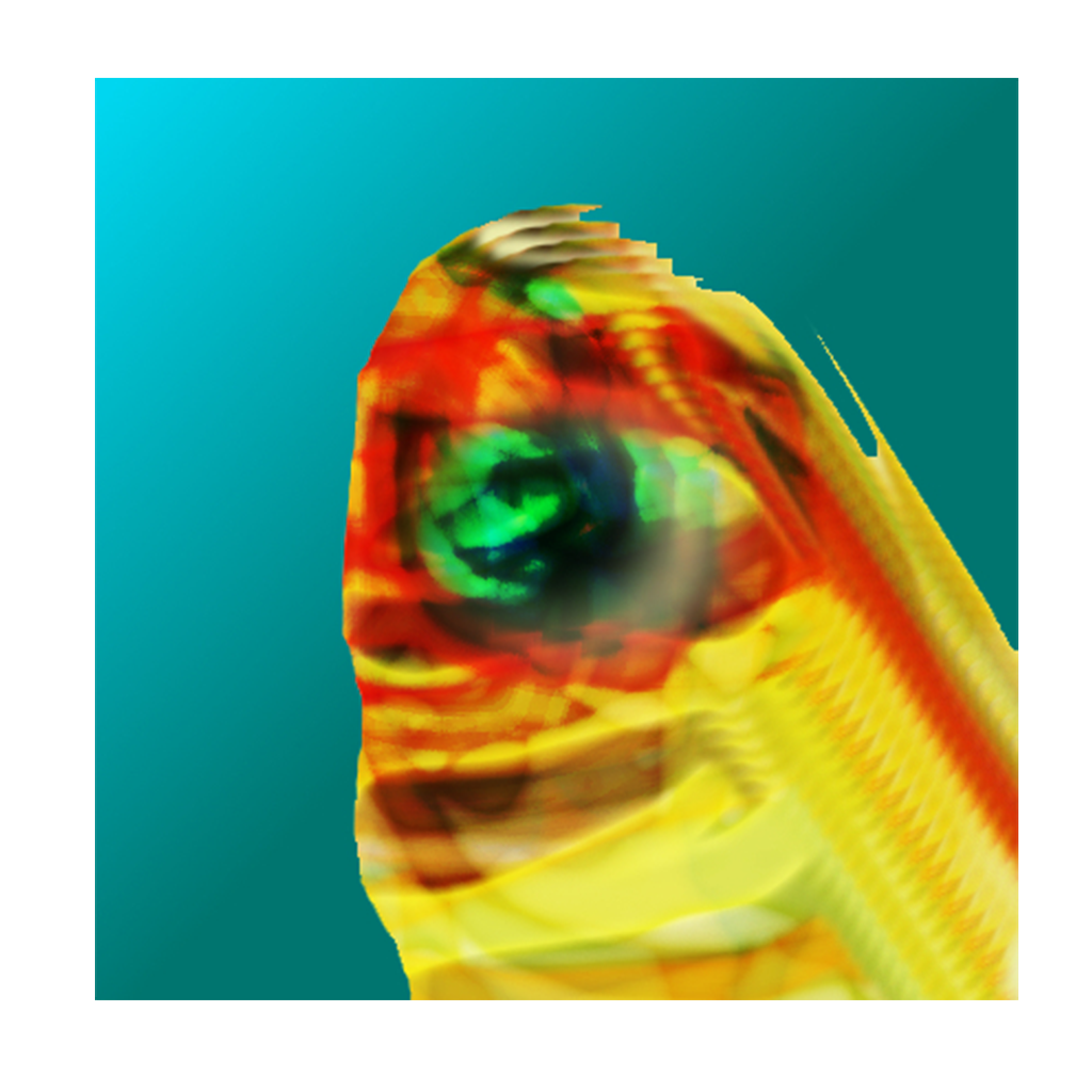 DIGITAL HEAD 1 | GM SPIERS, 1997