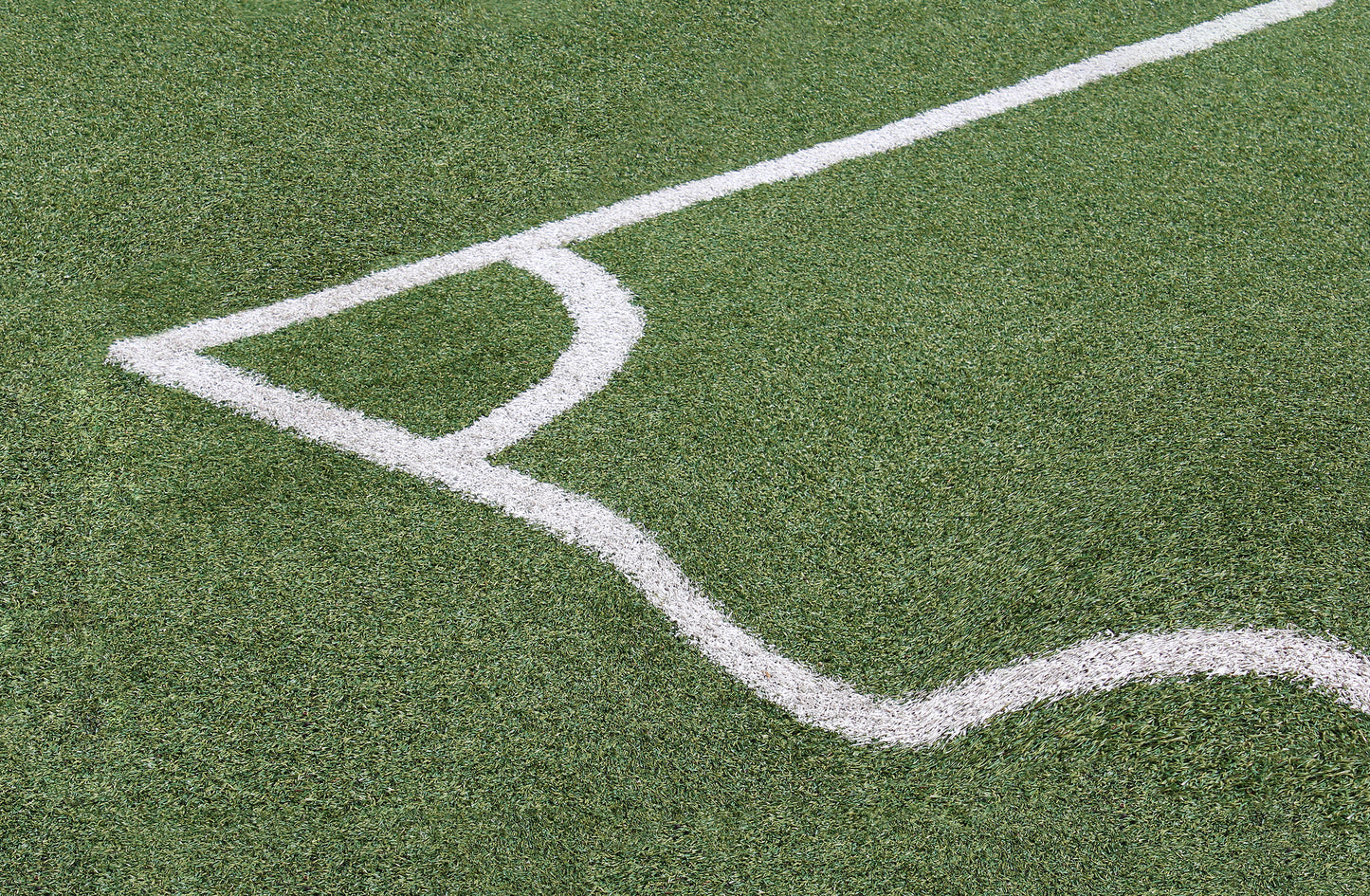 Elinor O'Donovan | Line, 2019