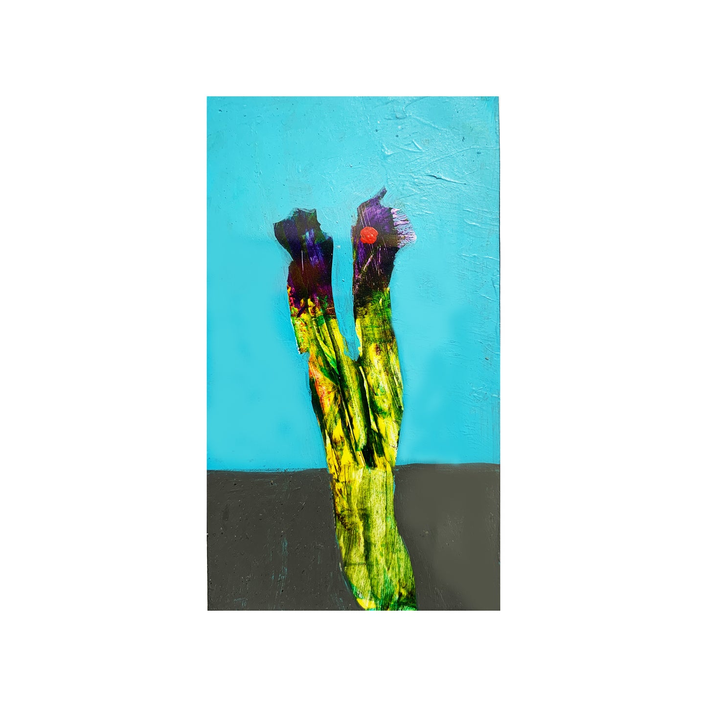 BIOLOGY SERIES No. 73, 1996 | GM SPIERS