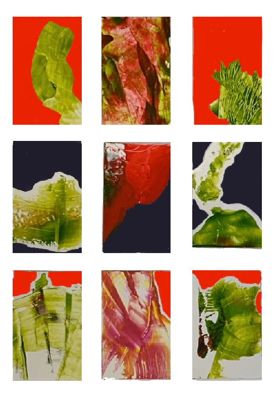 BIOLOGY SERIES No. 1 to 36, 2022 | GM SPIERS