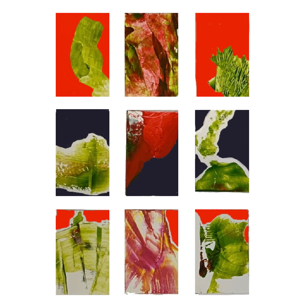BIOLOGY SERIES No. 1 to 36, 2022 | GM SPIERS