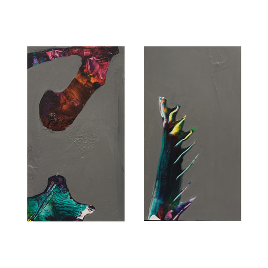 BIOLOGY SERIES No. 44/45 (DOUBLE), 2020 | GM SPIERS
