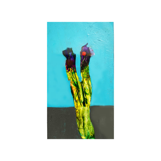 BIOLOGY SERIES No. 73, 1996 | GM SPIERS